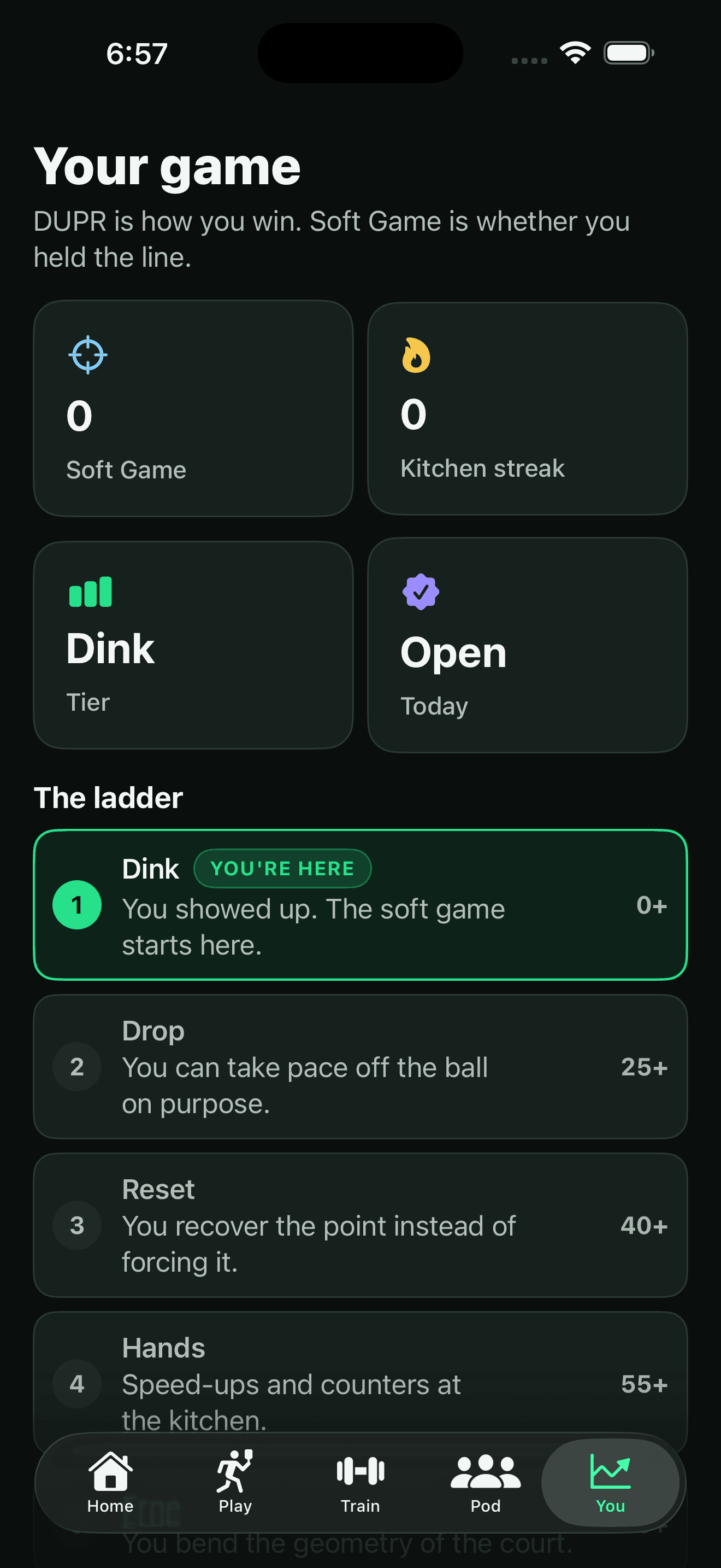 The You tab — Soft Game rating, kitchen streak and the Dink-to-ATP ladder